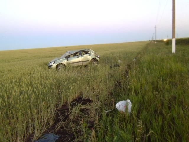 Мелекесский район.19.06.14. Мелекесский район.19.06.14.