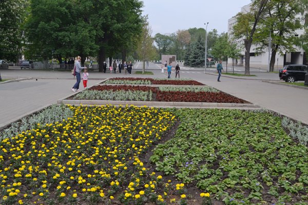 cvety_gorod_37