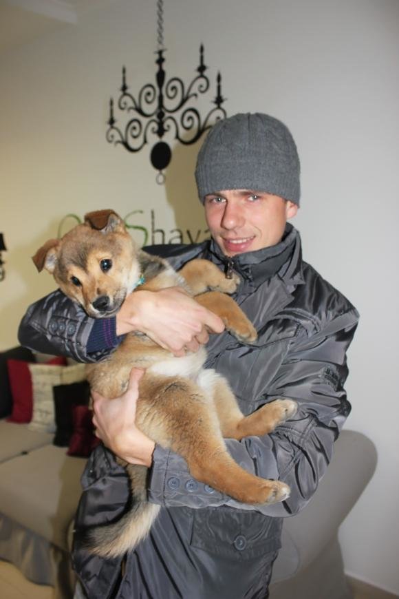 Був Сєпаром, а став Укропом: тернопільські волонтери привезли тримісячну собаку із зони АТО (фото) - фото 1