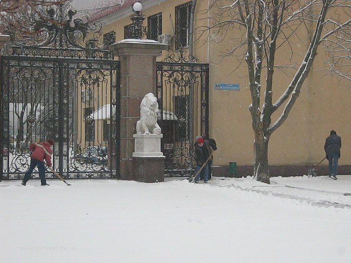 Николаевские коммунальщики привели улицы в порядок после первого снега (ФОТО) (фото) - фото 4 Николаевские коммунальщики привели улицы в порядок после первого снега (ФОТО) (фото) - фото 4
