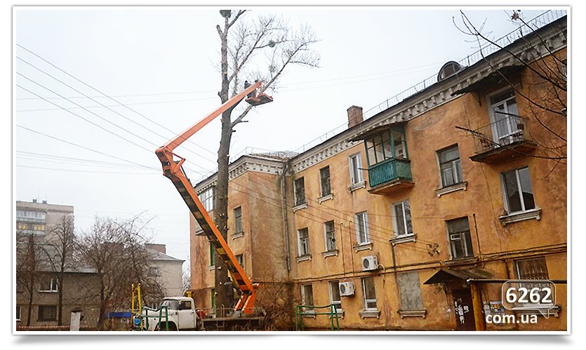 Идёт плановая обрезка деревьев(фотофакт) (фото) - фото 2 Идёт плановая обрезка деревьев(фотофакт) (фото) - фото 2