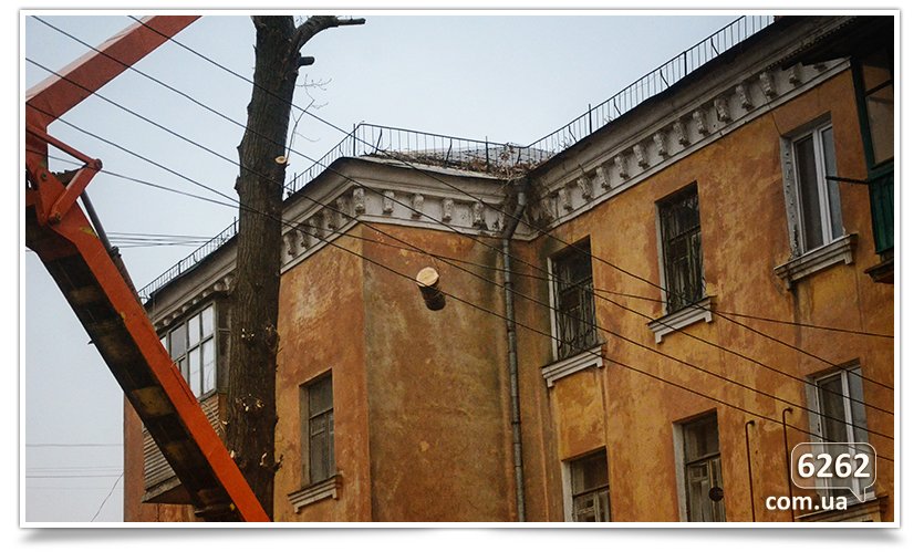 Идёт плановая обрезка деревьев(фотофакт) (фото) - фото 4 Идёт плановая обрезка деревьев(фотофакт) (фото) - фото 4