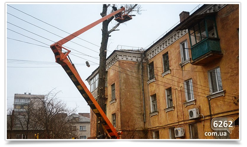 Идёт плановая обрезка деревьев(фотофакт) (фото) - фото 5 Идёт плановая обрезка деревьев(фотофакт) (фото) - фото 5