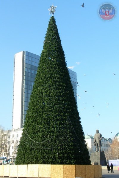 В центре Донецка установили новогоднюю елку (ФОТО) (фото) - фото 1