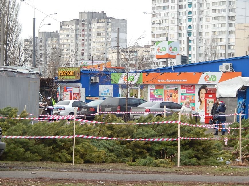 В день святого Николая цены на елочных базарах в Киеве не кусаются (ФОТО) (фото) - фото 1 В день святого Николая цены на елочных базарах в Киеве не кусаются (ФОТО) (фото) - фото 1
