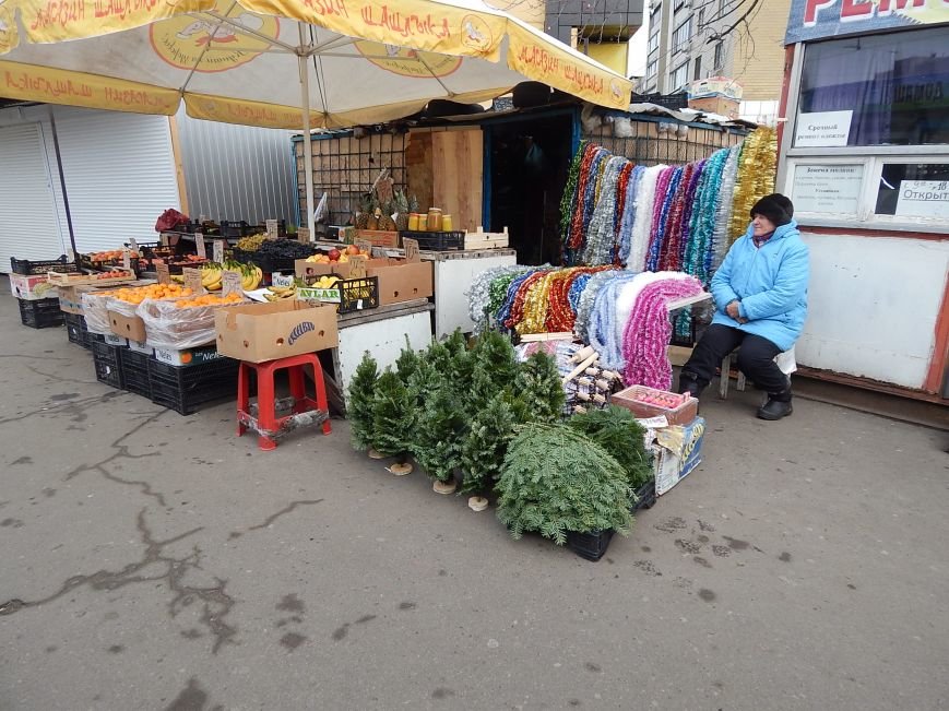 В день святого Николая цены на елочных базарах в Киеве не кусаются (ФОТО) (фото) - фото 1 В день святого Николая цены на елочных базарах в Киеве не кусаются (ФОТО) (фото) - фото 1