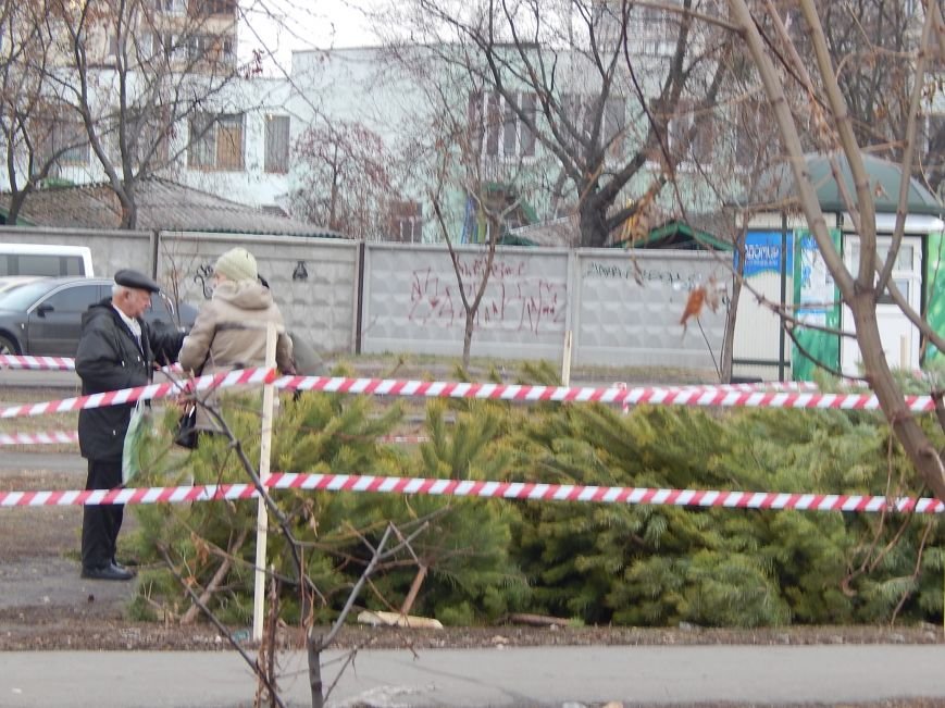 В день святого Николая цены на елочных базарах в Киеве не кусаются (ФОТО) (фото) - фото 1 В день святого Николая цены на елочных базарах в Киеве не кусаются (ФОТО) (фото) - фото 1