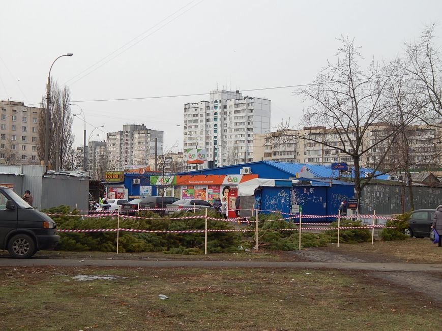 В день святого Николая цены на елочных базарах в Киеве не кусаются (ФОТО) (фото) - фото 1 В день святого Николая цены на елочных базарах в Киеве не кусаются (ФОТО) (фото) - фото 1