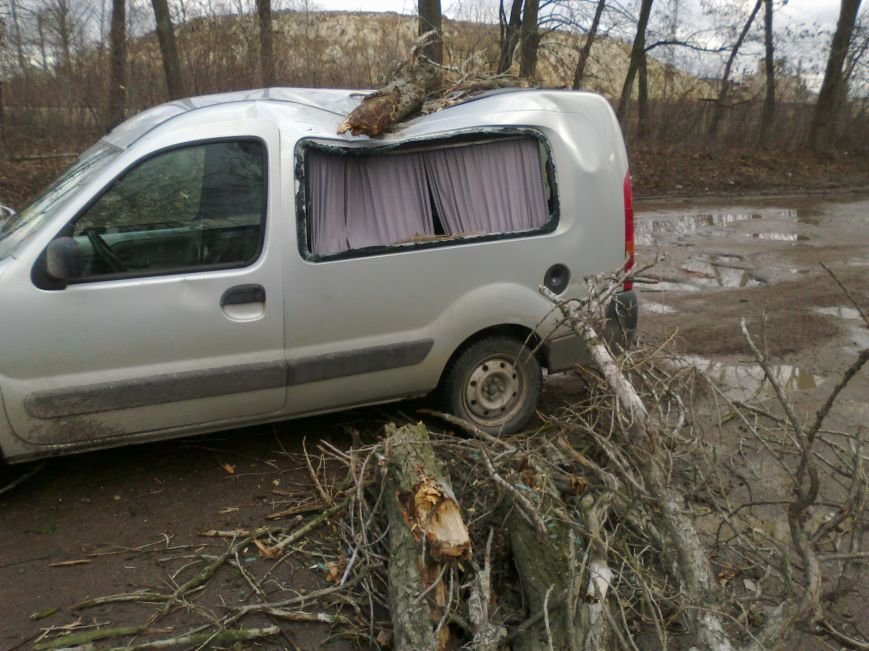 В Сумах на едущий автомобиль рухнуло аварийное дерево (ФОТО) (фото) - фото 1