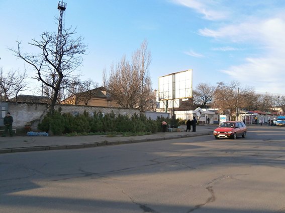 Николаевские милиционеры взялись «гонять» продавцов «незаконных» елок (ФОТО, ВИДЕО) (фото) - фото 3 Николаевские милиционеры взялись «гонять» продавцов «незаконных» елок (ФОТО, ВИДЕО) (фото) - фото 3