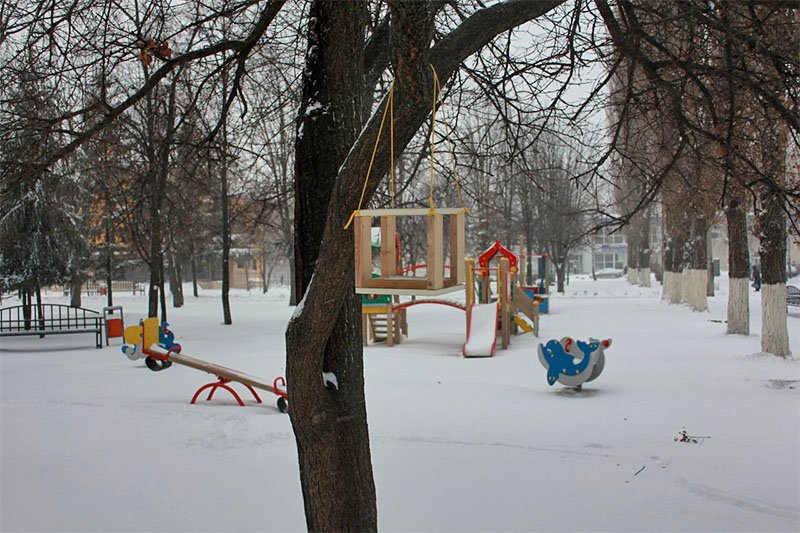 В предновогодние выходные Белгород полностью покрылся снегом (фото)... В предновогодние выходные Белгород полностью покрылся снегом (фото) - фото 8