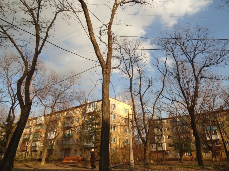 В Мариуполе энергетики передают ток потребителям с помощью деревьев (ФОТОФАКТ) (фото) - фото 1 В Мариуполе энергетики передают ток потребителям с помощью деревьев (ФОТОФАКТ) (фото) - фото 1