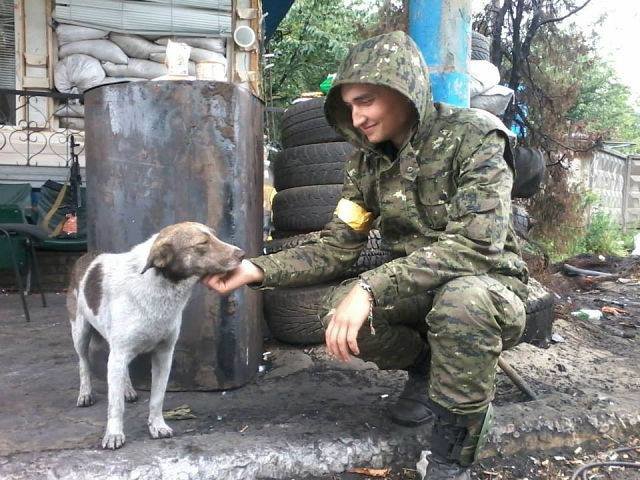 Солдат собаку не обидит - как украинские «каратели» делятся..., фото-1 Солдат собаку не обидит - как украинские «каратели» делятся своим пайком с четвероногими друзьями (Фотофакт), фото-1