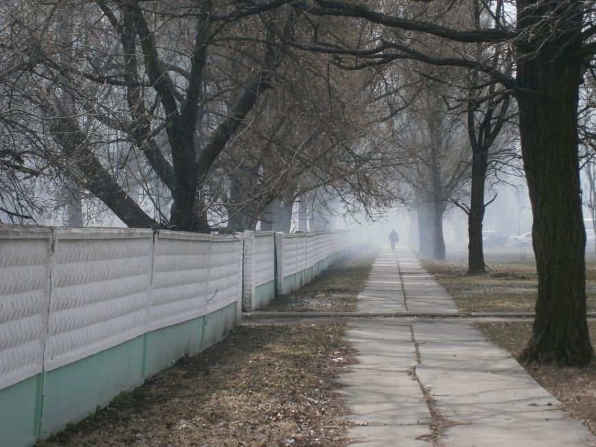 В Красноармейске сжигают листья, несмотря на запреты (фото) - фото... В Красноармейске сжигают листья, несмотря на запреты (фото) - фото 7