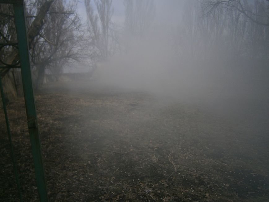 В Красноармейске сжигают листья, несмотря на запреты (фото) - фото... В Красноармейске сжигают листья, несмотря на запреты (фото) - фото 4