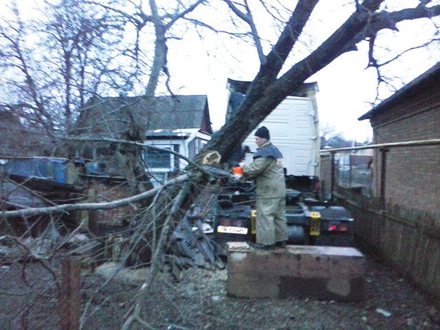 В Николаеве ураган повалил более 100 деревьев: в городе не ходят троллейбусы (ФОТО) (фото) - фото 3 В Николаеве ураган повалил более 100 деревьев: в городе не ходят троллейбусы (ФОТО) (фото) - фото 3