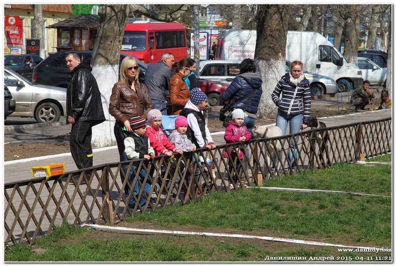 Итоги соревнований кинологов в Ильичевске (+фото) (фото) - фото 1 Итоги соревнований кинологов в Ильичевске (+фото) (фото) - фото 1