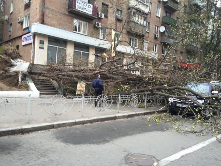 В Киеве ураганный ветер валил деревья и рекламные щиты (ФОТОФАКТ) (фото) - фото 1 В Киеве ураганный ветер валил деревья и рекламные щиты (ФОТОФАКТ) (фото) - фото 1