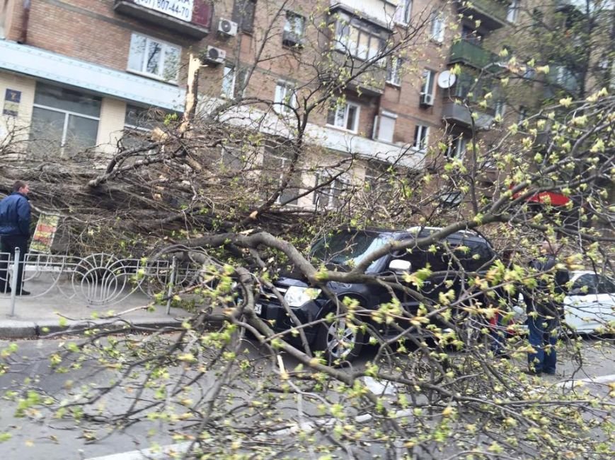 В Киеве ураганный ветер валил деревья и рекламные щиты (ФОТОФАКТ) (фото) - фото 1 В Киеве ураганный ветер валил деревья и рекламные щиты (ФОТОФАКТ) (фото) - фото 1