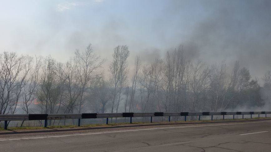 Огонь вплотную приблизился к Херсонскому мосту и дачам лев..., фото-3 Огонь вплотную приблизился к Херсонскому мосту и дачам левобережья, фото-3