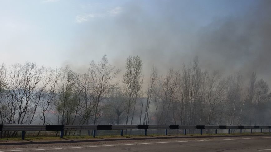 Огонь вплотную приблизился к Херсонскому мосту и дачам лев..., фото-4 Огонь вплотную приблизился к Херсонскому мосту и дачам левобережья, фото-4