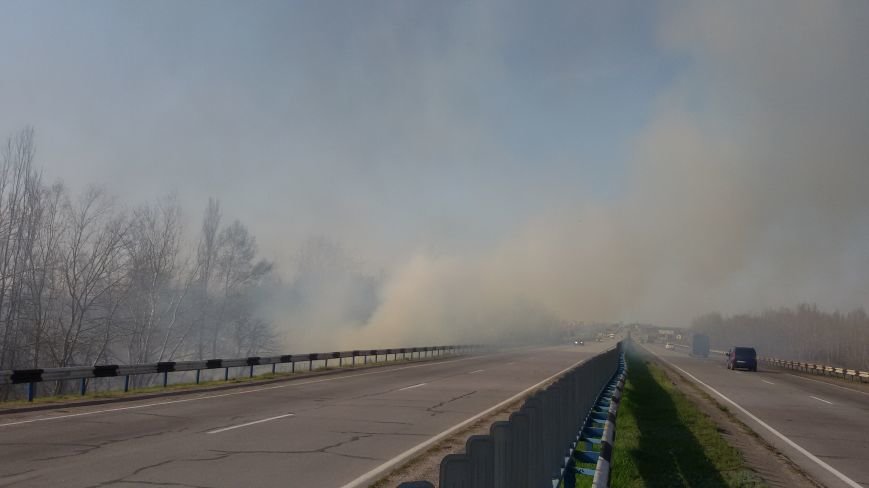 Огонь вплотную приблизился к Херсонскому мосту и дачам лев..., фото-2 Огонь вплотную приблизился к Херсонскому мосту и дачам левобережья, фото-2
