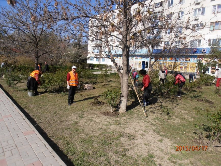 В Коктебеле состоялся субботник (фото) - фото 1 В Коктебеле состоялся субботник (фото) - фото 1