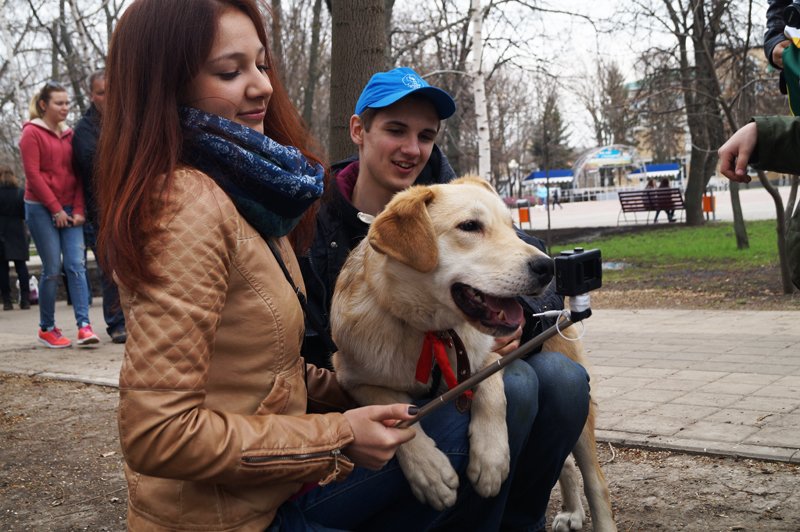 В Белгороде на выставке-раздаче 24 из 27 бездомных собак нашли себе дом (фото) - фото 6 В Белгороде на выставке-раздаче 24 из 27 бездомных собак нашли себе дом (фото) - фото 6