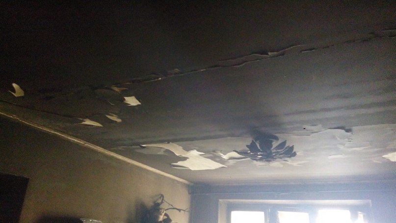 У Львові вогонь забрав життя чотирилапого друга. Квартира згоріла в... У Львові вогонь забрав життя чотирилапого друга. Квартира згоріла вщент (ФОТО) (фото) - фото 2