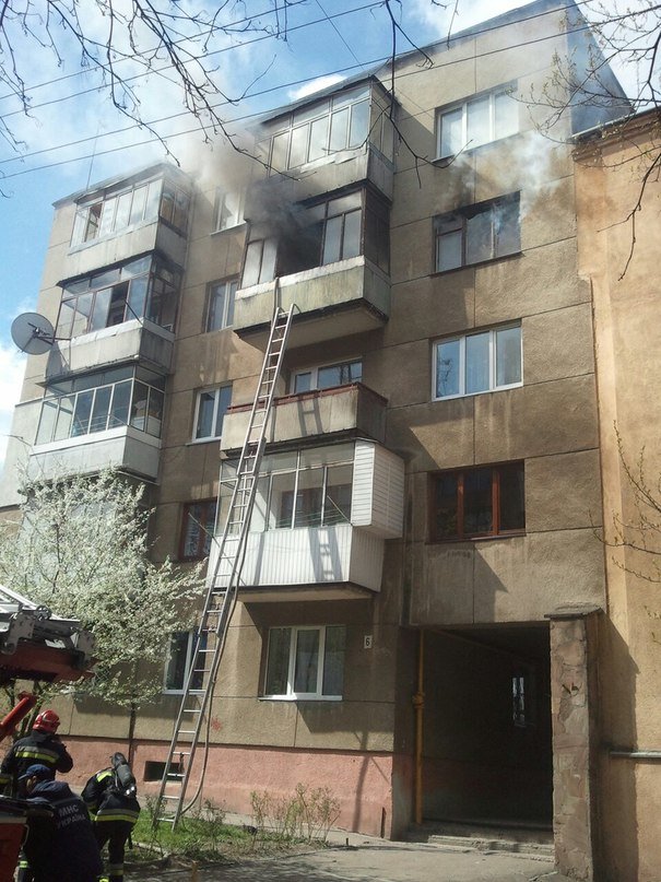У Львові вогонь забрав життя чотирилапого друга. Квартира згоріла в... У Львові вогонь забрав життя чотирилапого друга. Квартира згоріла вщент (ФОТОРЕПОРТАЖ) (фото) - фото 5