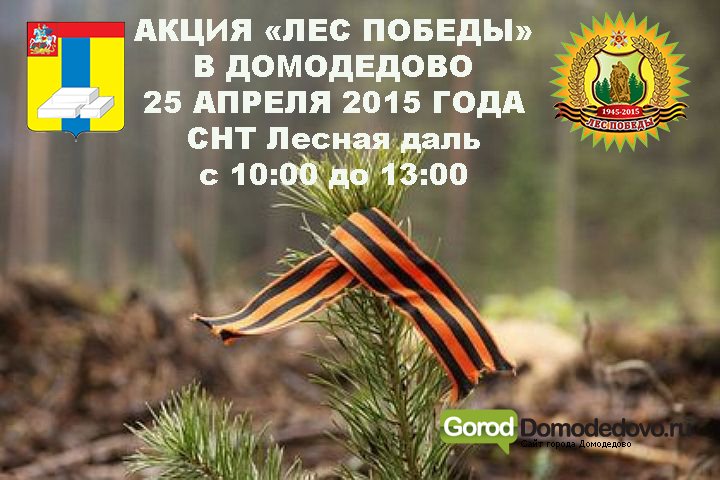 Жителей Домодедово приглашают принять участие в акции «Лес Победы» (фото) - фото 1