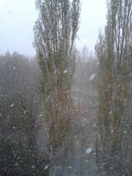 Суровый симферопольский апрель: В городе неожиданно выпал снег (ФОТО, ВИДЕО) (фото) - фото 2 Суровый симферопольский апрель: В городе неожиданно выпал снег (ФОТО, ВИДЕО) (фото) - фото 2