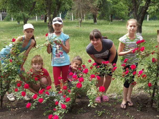 Вандалы испортили цветник, созданный к юбилею общеобразовательной школы №6 Красноармейска (фото) - фото 1