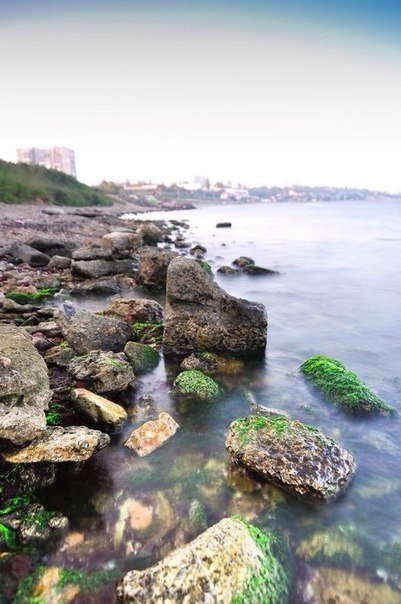 В Ильичевск проходит выставка работ фотографов «ЭКО-ДАЙДЖЕСТ» (фото... В Ильичевск проходит выставка работ фотографов «ЭКО-ДАЙДЖЕСТ» (фото) - фото 1