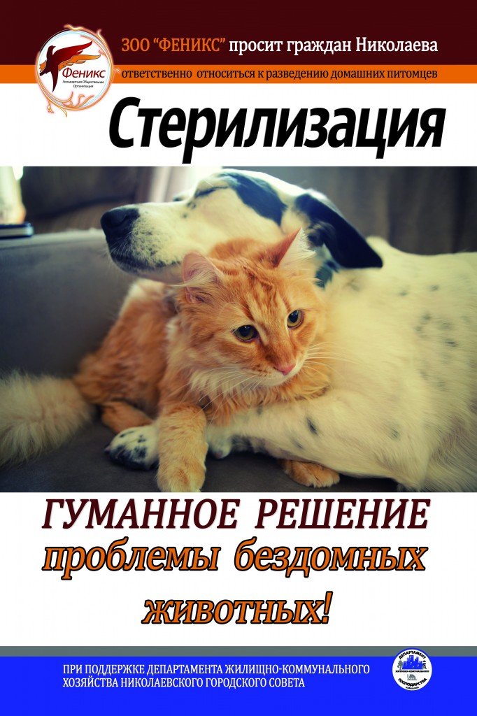 Гуманное-решение-682x1024 Гуманное-решение-682x1024