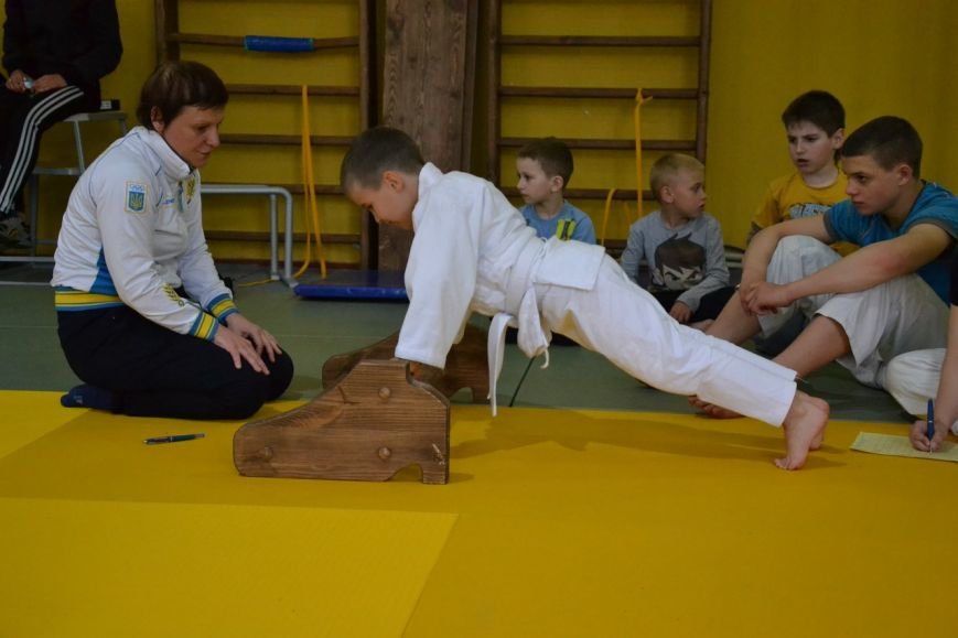 У Хмельницькому відбулись кваліфікаційні змагання для маленьких дзюдоїстів (фото) - фото 1 У Хмельницькому відбулись кваліфікаційні змагання для маленьких дзюдоїстів (фото) - фото 1