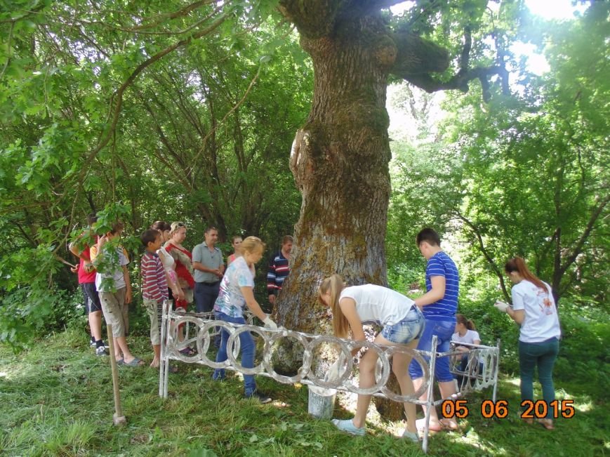 Экологи пытаются спасти памятник природы в хуторе Кубанском (фото) - фото 1