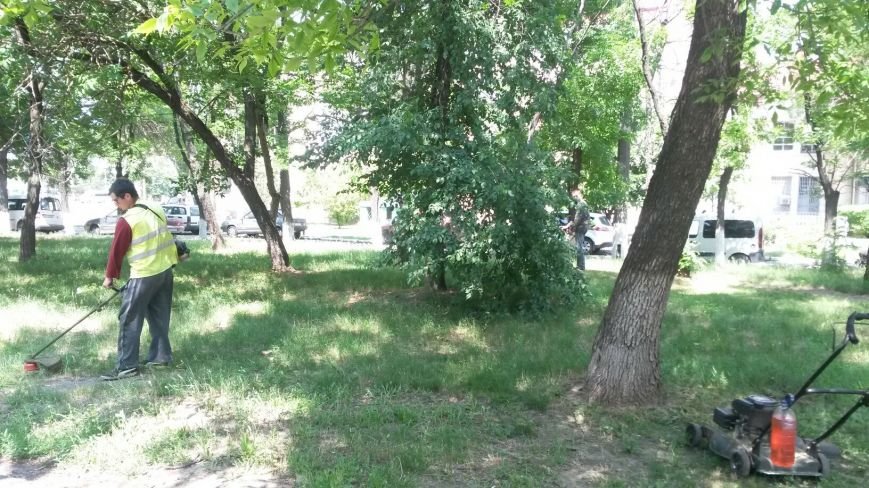Николаевские коммунальщики наводят марафет в центре города (ФОТО) (... Николаевские коммунальщики наводят марафет в центре города (ФОТО) (фото) - фото 3