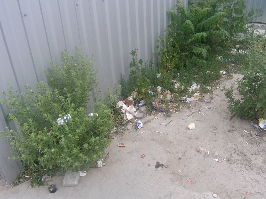 В Херсоне вывозят сотни тонн мусора, но не видят что «под носом» (фото) - фото 1