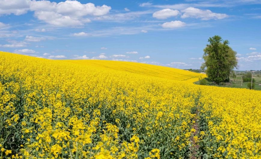 Рівненський фотограф привезе у Хмельницький знімки світанків та заходів рідного міста (фото) - фото 1 Рівненський фотограф привезе у Хмельницький знімки світанків та заходів рідного міста (фото) - фото 1
