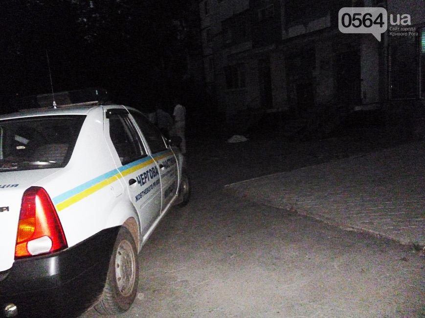 В Кривом Роге: девушка выбросилась с 14 этажа, на ремонт «Чумацьког... В Кривом Роге: девушка выбросилась с 14 этажа, на ремонт «Чумацького шляху» выделили 18 миллионов гривен, задержана группа хулиганов (фото) - фото...