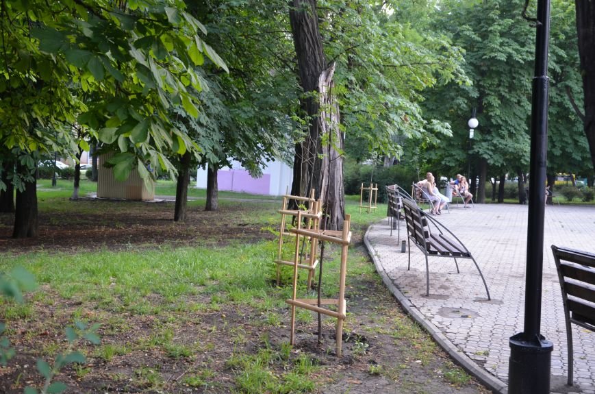 В центре Мариуполя высадили рябину (ФОТО) - Новости 11 ...