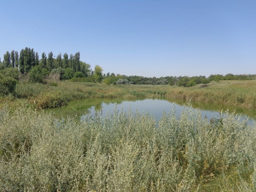 Пока Димитровский Горводоканал бездействует, Красноармейский работает за двоих (фото) - фото 1 Пока Димитровский Горводоканал бездействует, Красноармейский работает за двоих (фото) - фото 1