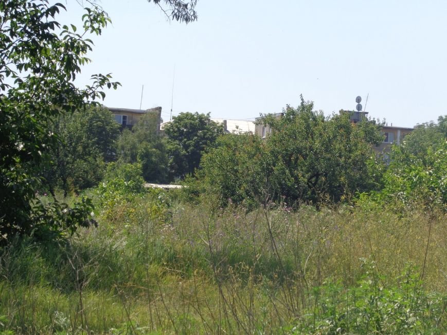 Пока Димитровский Горводоканал бездействует, Красноармейский работа... Пока Димитровский Горводоканал бездействует, Красноармейский работает за двоих (фото) - фото 3