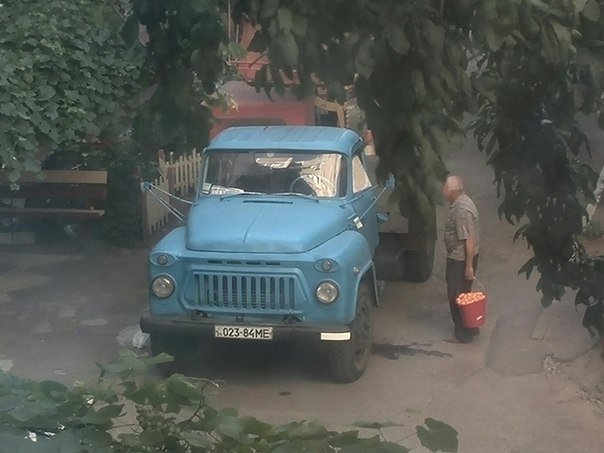абрикосы2 абрикосы2