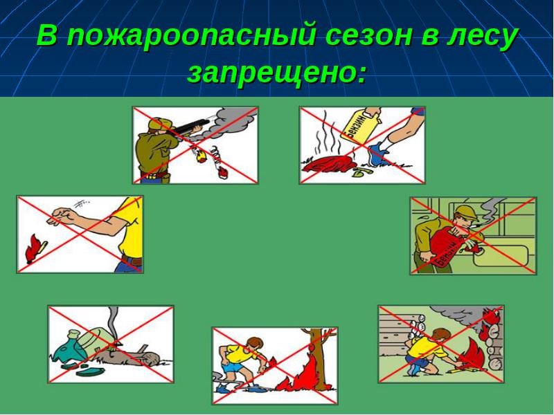 Как уберечь леса вокруг Конотопа от пожара (фото) - фото 1 Как уберечь леса вокруг Конотопа от пожара (фото) - фото 1