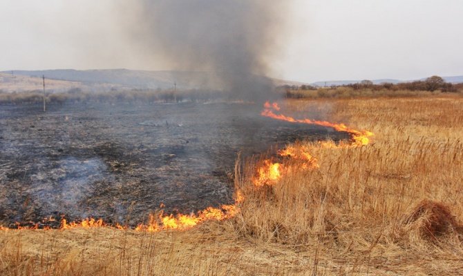 На Вижниччині в результаті загоряння в господарчій будівлі..., фото-1 На Вижниччині в результаті загоряння в господарчій будівлі згорів автомобіль, фото-1