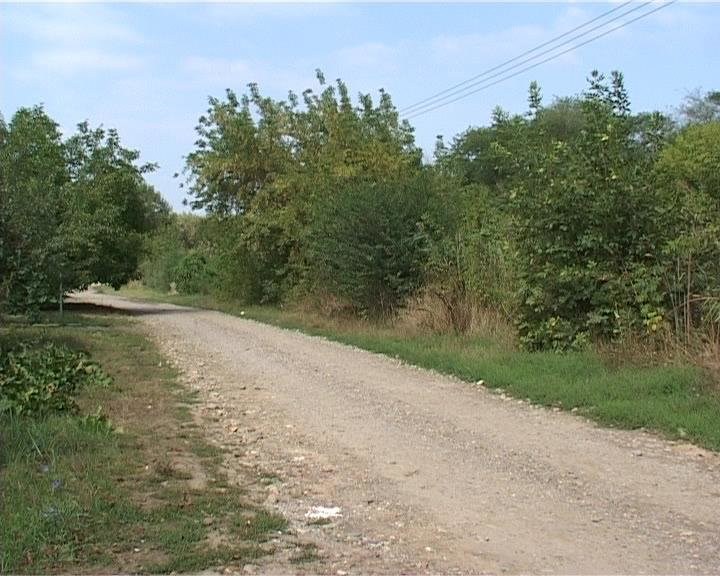 В Армавире заброшено садоводческое товарищество (фото) - фото 1 В Армавире заброшено садоводческое товарищество (фото) - фото 1