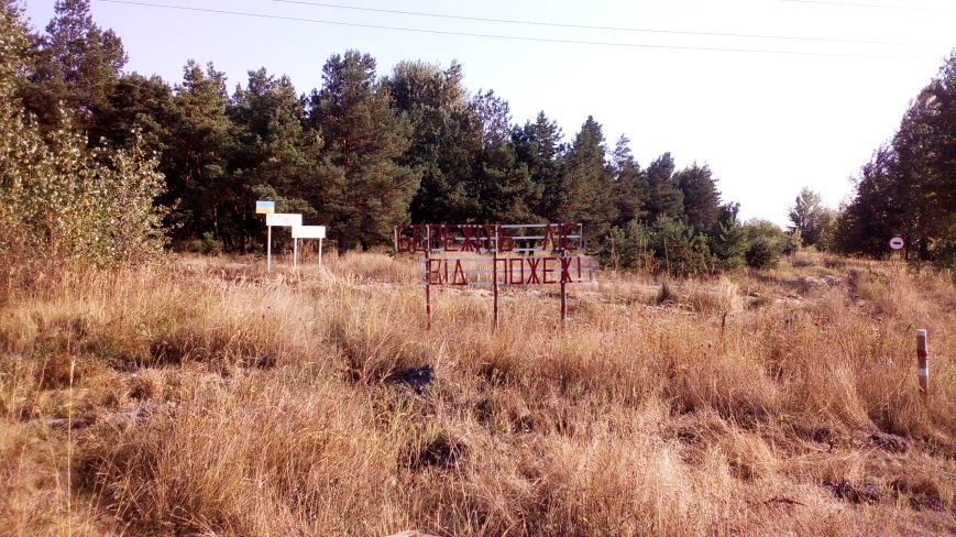 В 90% случаев причина возникновения лесных пожаров - человек (фото) - фото 1 В 90% случаев причина возникновения лесных пожаров - человек (фото) - фото 1
