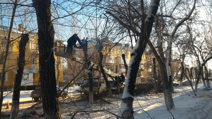 обрезка деревьев-01 обрезка деревьев-01